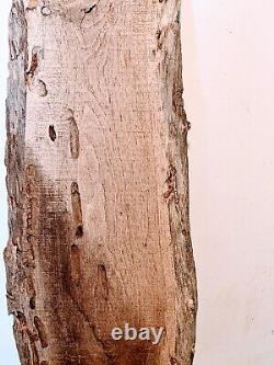 Mesquite burl wood slab live edge. Rough saw cut