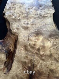 Myrtle Wood Burl, Live Edge, 30 Long, 15 Wide, 1 1/2 Thick, Dry