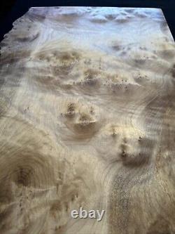 Myrtle Wood Burl, Live Edge, 30 Long, 15 Wide, 1 1/2 Thick, Dry