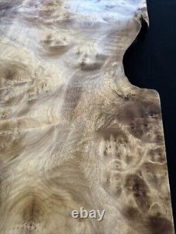 Myrtle Wood Burl, Live Edge, 30 Long, 15 Wide, 1 1/2 Thick, Dry