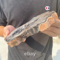 Natural black petrified short-cut wood Raw Silicified wood mineral specimen