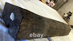 New Gabon Ebony Log Segments-You Cut to Size 29 lbs Exotic Wood (Item 51)