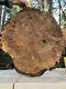 Northern California Walnut Slab Table Cutting Board Epoxy Wood Project