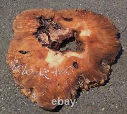 Oak Burl Slab Cookie Cut Craft Woods DIY River Table Oak24-0928