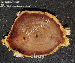 Poplar Slab Cookie Cut Craft Woods DIY River Table P24-0834