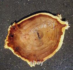 Poplar Slab Cookie Cut Craft Woods DIY River Table P24-0834