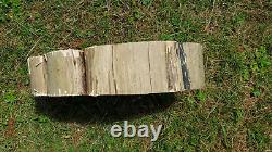 Red Cedar Wood Log Slab Rough Cut Slice Live Edge Rustic Crafts Epoxy End Table
