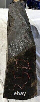 Reduced Gabon Ebony Log Segments-You Cut to Size-132 lbs Exotic Wood (Item 250)