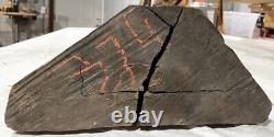 Reduced Gabon Ebony Log Segments-You Cut to Size- 88 lbs Exotic Wood (Item 374)