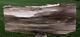 Sis Beautiful 17 Saddle Mountain Rip Cut Conifer Petrified Wood Slab