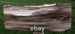 SiS BEAUTIFUL 17 Saddle Mountain RIP CUT Conifer Petrified Wood Slab