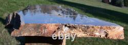 SiS GIANT 14 VERY WOODY Rip Cut Petrified Wood Plank McDermitt, Oregon