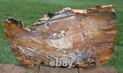 SiS Hubbard Basin Petrified Wood 16 KNOTTY PLANK RIP CUT BOARD