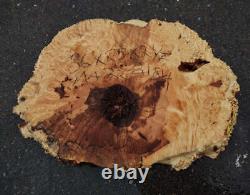 Spalted Maple Burl Cookie Cut River Table DIY MA25-2184