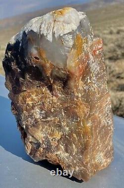 Wow! Opal Fire Agate Petrified Wood 10lbs! Huge! Completely Agatized Opalized