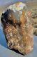 Wow! Opal Fire Agate Petrified Wood 10lbs! Huge! Completely Agatized Opalized