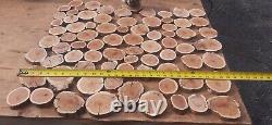 Yew wood round stock cookie cuts. Super grain. Jewelry, wall art, craft, resin