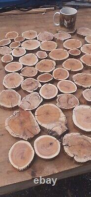 Yew wood round stock cookie cuts. Super grain. Jewelry, wall art, craft, resin