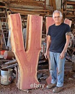 2 planches brutes de cèdre avec bords vivants 60 par 27, coupées dans une fourche de cèdre avec motif de grain de bois