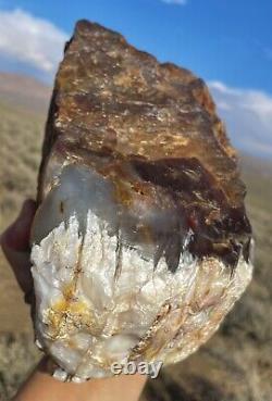 C'est Pas Vrai! Agate De Feu Opale Pétrifié Bois 10lbs! Énorme! Complètement Agacé Opalisé