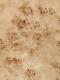 Exotic Mappa Burl Wood Placage Paper Back Rotary Cut 2' X 4' (24 X 48)