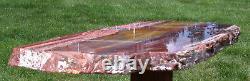 Sis Glorious 19 Arizona Rainbow Petrified Wood Slab Stunning Rip Cut Plank