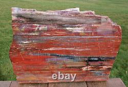 Sis Magnificent 16 Arizona Rainbow Petrified Wood Slab Big Rip Cut Plank