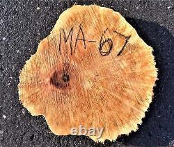 Tranche de burl d'érable en bois vivant coupé en biscuit pour artisanat du bois en bricolage MA-67