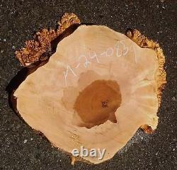 Tranche de burl d'érable pour table rivière artisanale DIY MA24-0859