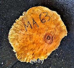 Tranche de burl de feuillus d'érable coupe de biscuit bord vivant bricolage artisanat du bois MA-63